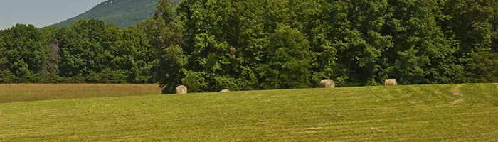 Pilot Mountain, Surry County Pilot Mountain, Surry County